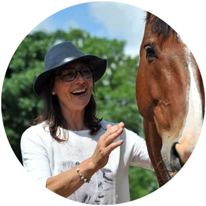 Amazines, formation médiation animale, équithérapie, gestion stress, émotions, qualité vie au travail, santé au travail