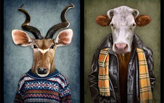 Relation Homme / Animal - Éthologie, pratiques et compréhension.