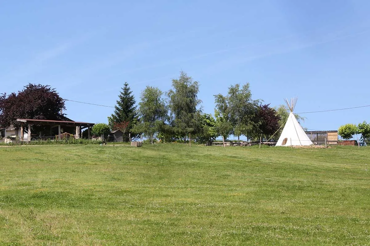 Ferme du kikiwi