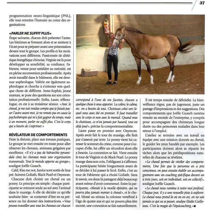Sud Ouest