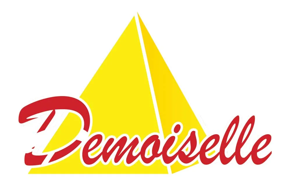Demoiselle FM - Amazines